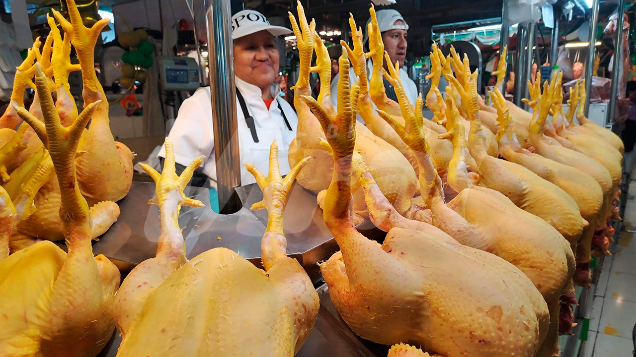 Responsabilizan a los proveedores por incremento en el precio del pollo